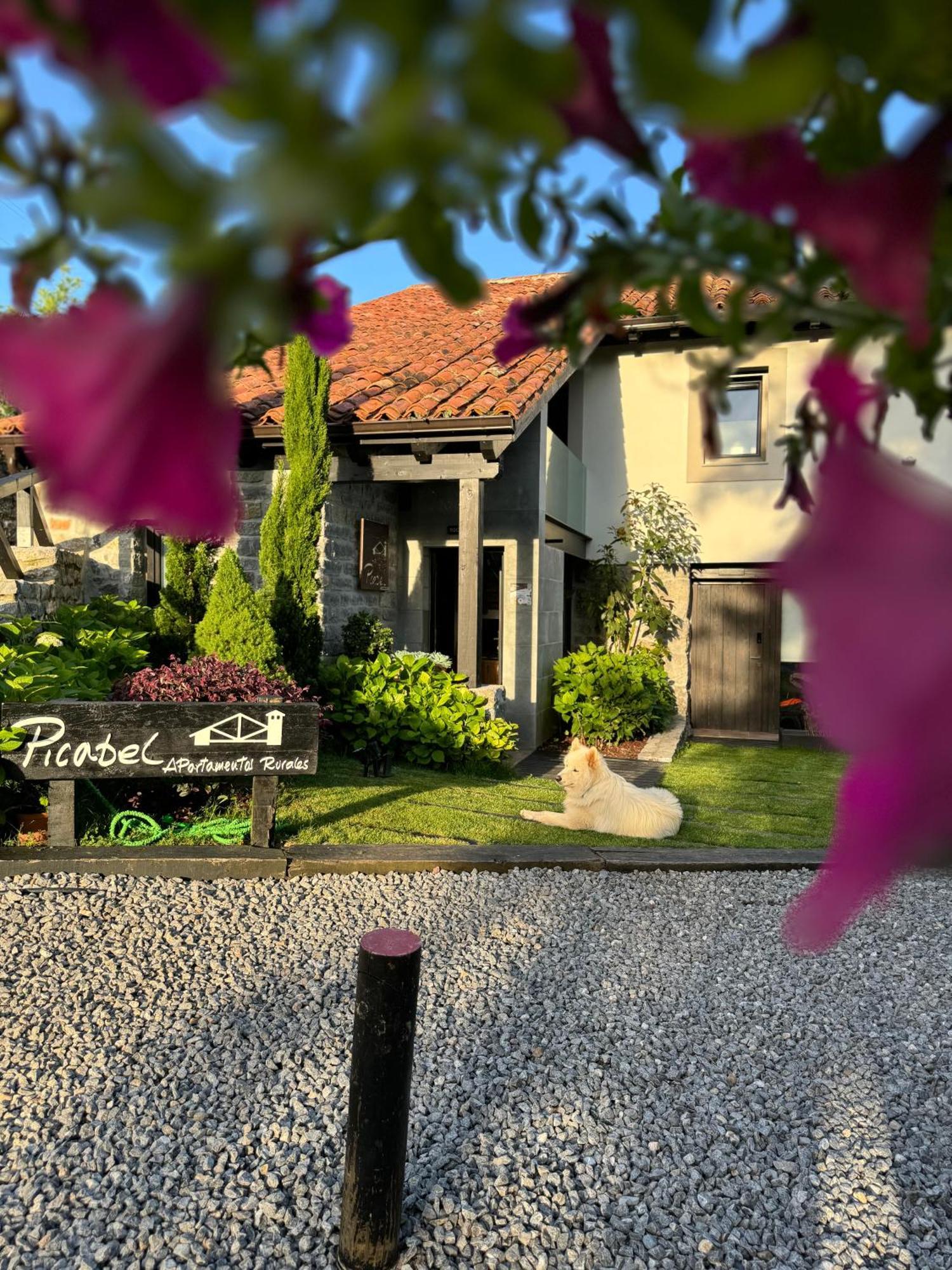 Apartamentos Picabel กังกัส เด โอนิส ภายนอก รูปภาพ